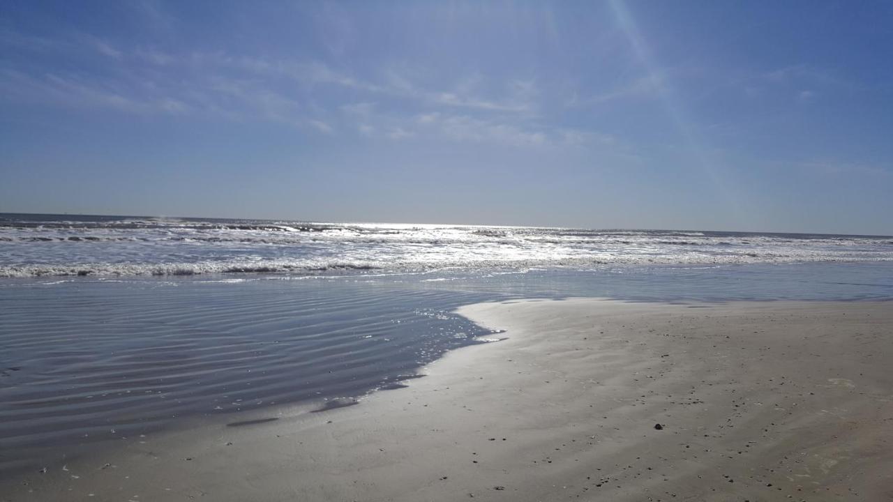 Private Beach -- Away From The Crowds - Ocean Views -Short Drive To Moody Gardens, Schlitter Bahn, Pleasure Pier 加尔维斯敦 外观 照片